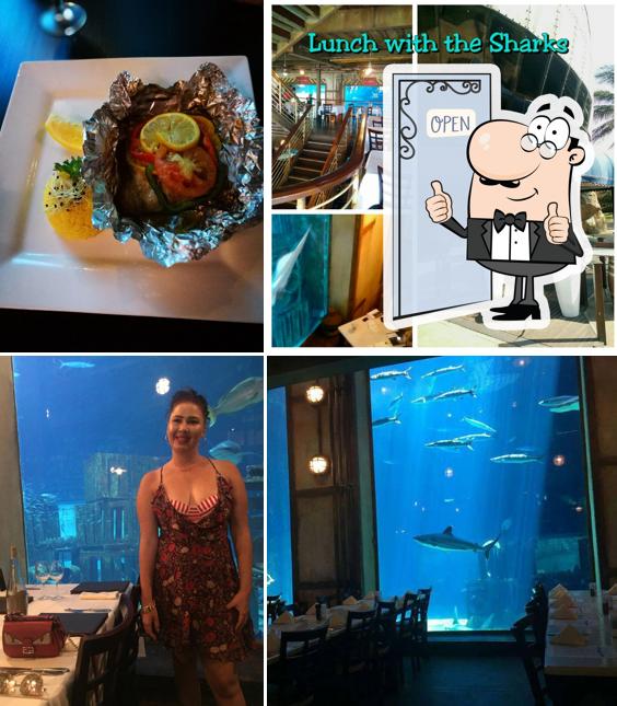 Cargo Hold Restaurant, Durban Restaurant reviews