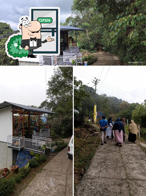 ചയപിടിയ