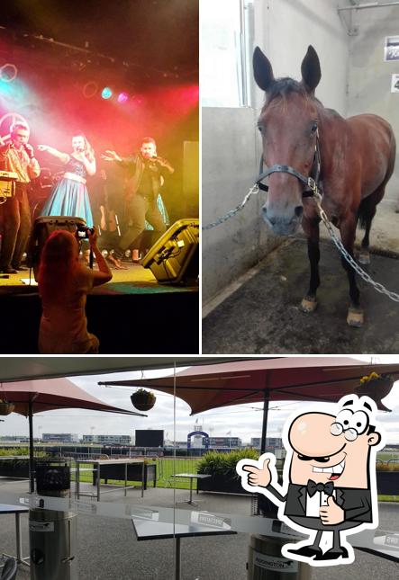 Addington Raceway & Events Centre in Christchurch - Restaurant reviews