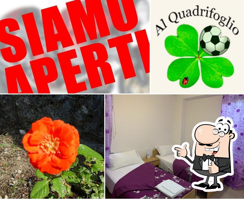 Regarder cette image de Albergo Al Quadrifoglio