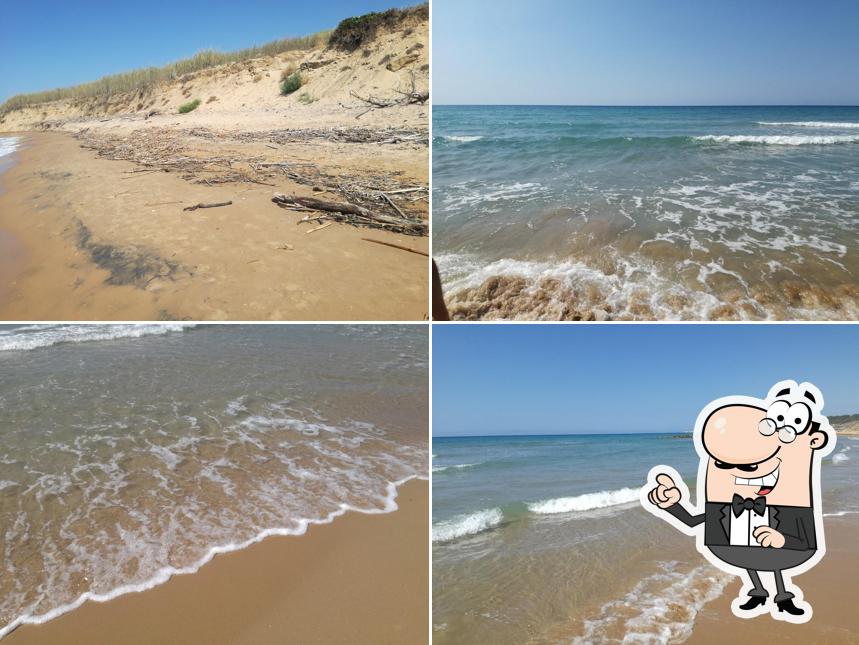 Harundo Mare