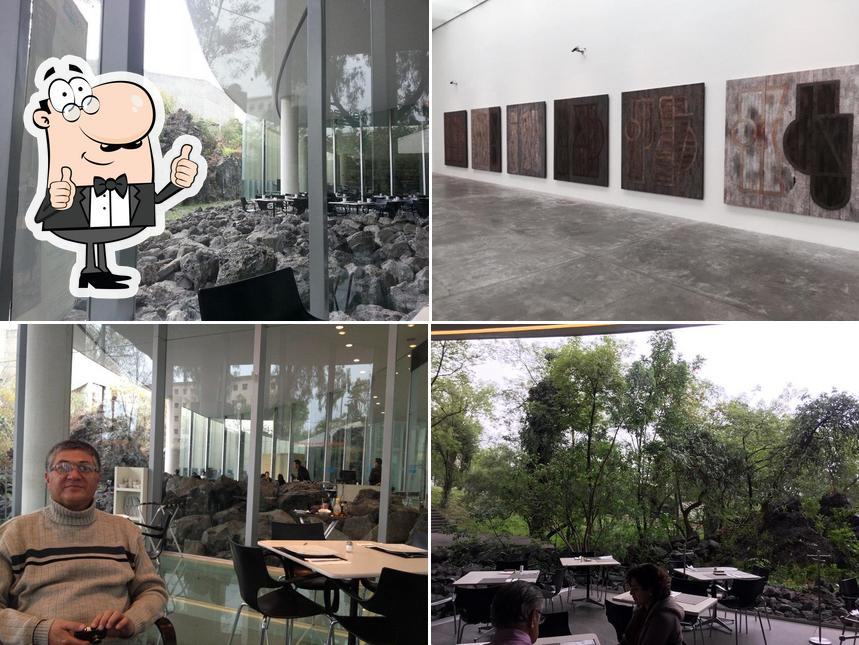 Cafetería MUAC, Ciudad de México - Opiniones del restaurante