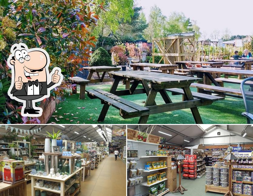 Frosts Garden Centre in Frilford Restaurant reviews