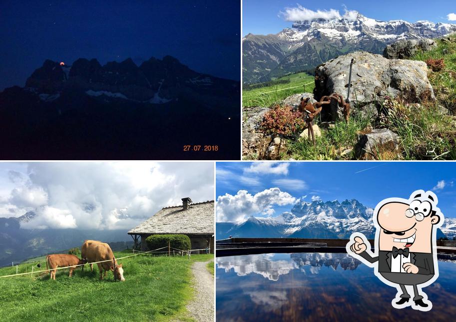 Guarda gli esterni di Gîte Alpage La Chaux