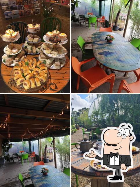 Jungle Tea Room in Storrington Restaurant reviews