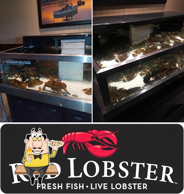 Try out seafood at Red Lobster