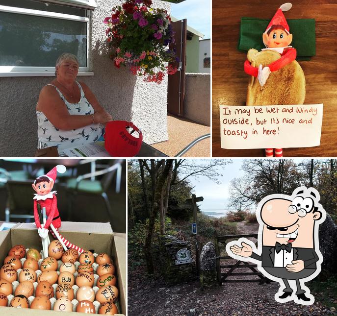 The BOBin Café in Arnside Restaurant reviews