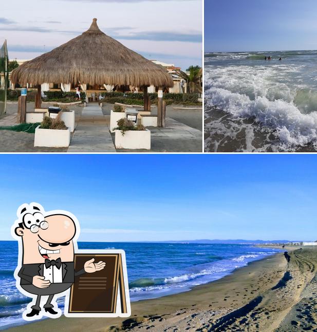 Guarda gli esterni di Stabilimento Ondina Fregene
