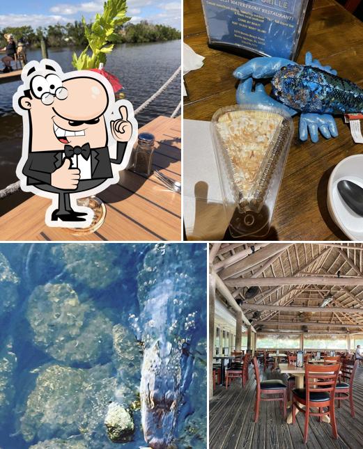 Coconut Jack's Waterfront Grille in Bonita Springs Restaurant menu