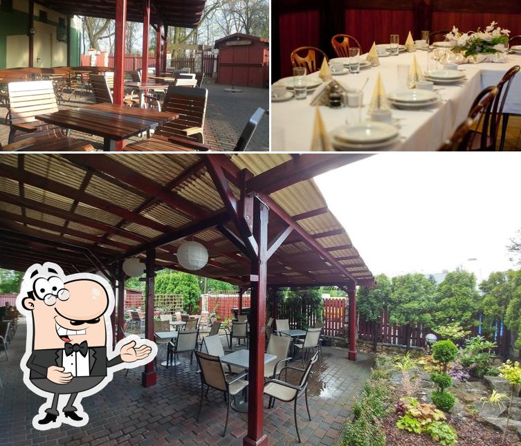 Paula Pizzeria, Bytom Restaurant menu and reviews