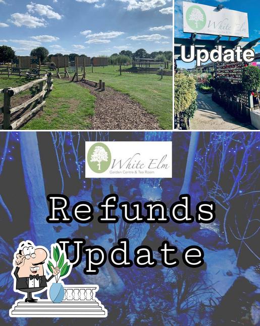 White Elm Garden Centre and Tearoom in Bicknacre Restaurant reviews