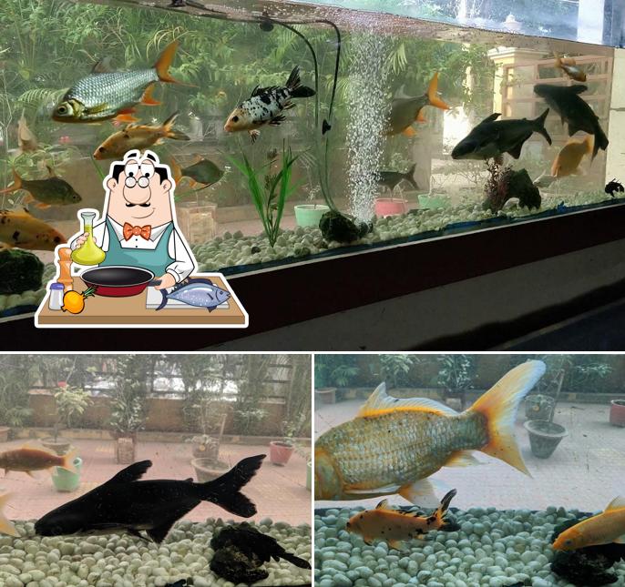 Hotel Sai Continental offers a menu for seafood lovers