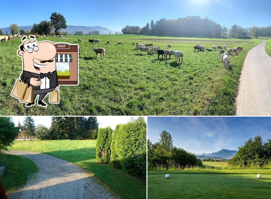 Goditi la vista dall'area esterna di Golfpark Holzhäusern