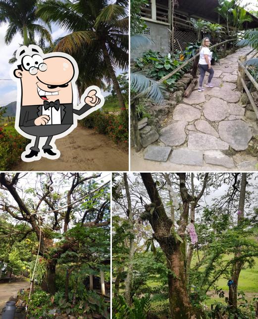 Sitio Recanto Mestre Álvaro