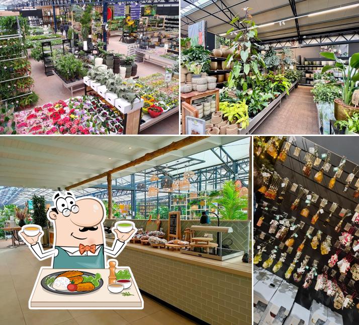 Tuincentrum De Bosrand Oegstgeest