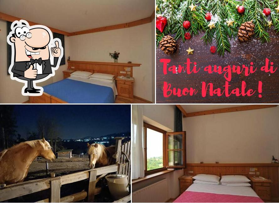 Guarda la foto di Albergo Garni' Laura - Ristorante al Mas a Baselga di Pine'