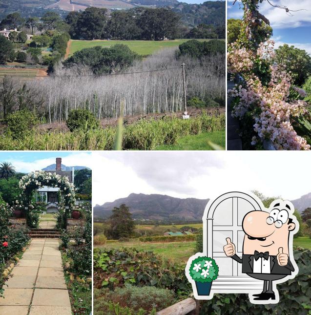 Chart Farm Roses and Coffee Shop, Cape Town - Restaurant menu, prices ...