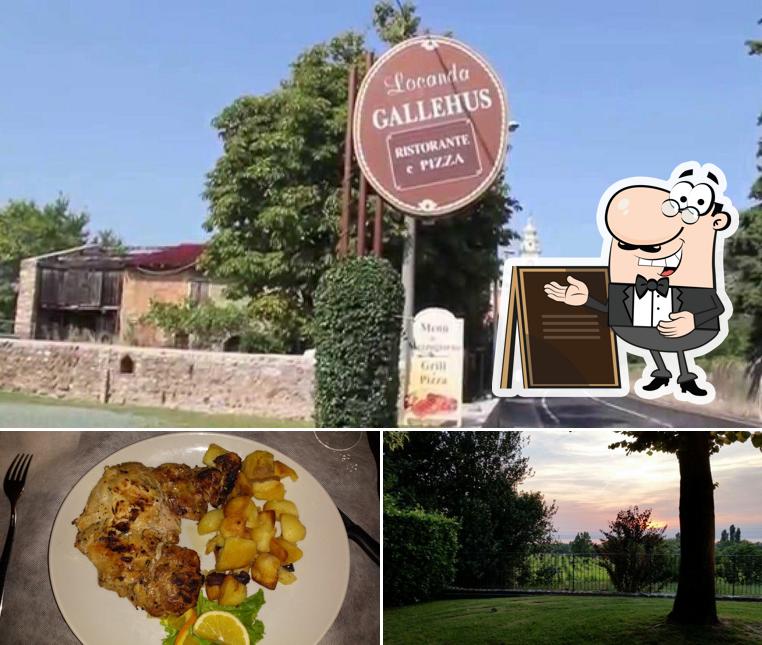 La foto della esterno e cibo di Locanda Gallehus