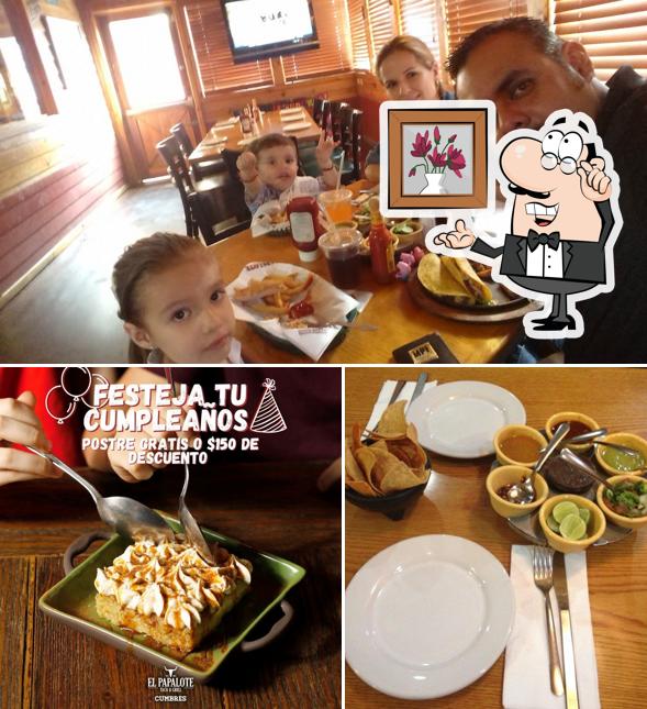 El Papalote Taco & Grill Cumbres restaurant, Monterrey, Av Paseo de los