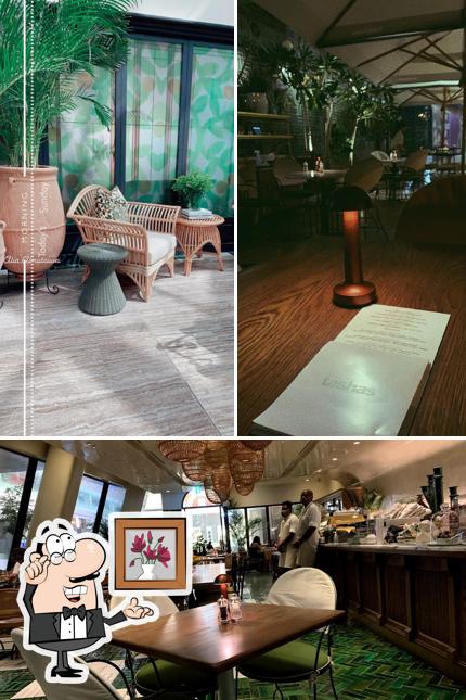 tashas Al Barsha, UAE, F AND B 0-4 GALLERIA - Restaurant reviews
