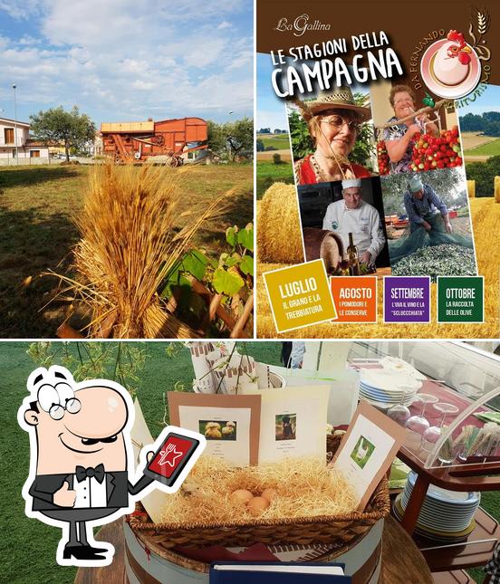 Gli esterni di La Gallina Agriturismo