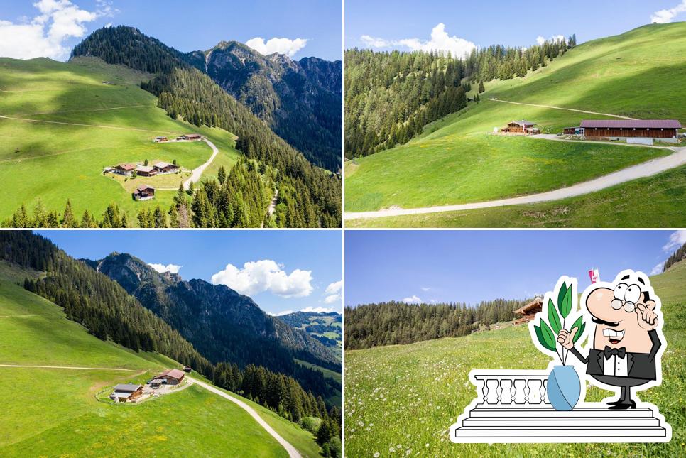 Almausschank Bischofer Käsalm / Sommer, Alpbach