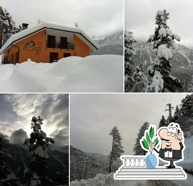 Guarda gli esterni di La Locanda Della Pineta