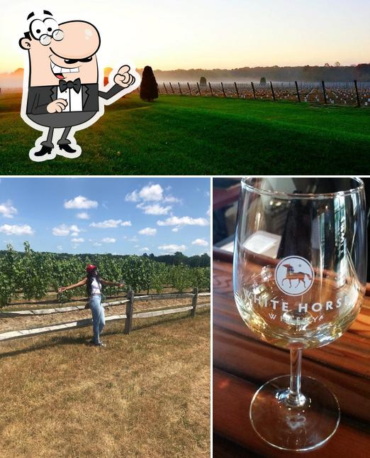 White Horse Winery in Hammonton