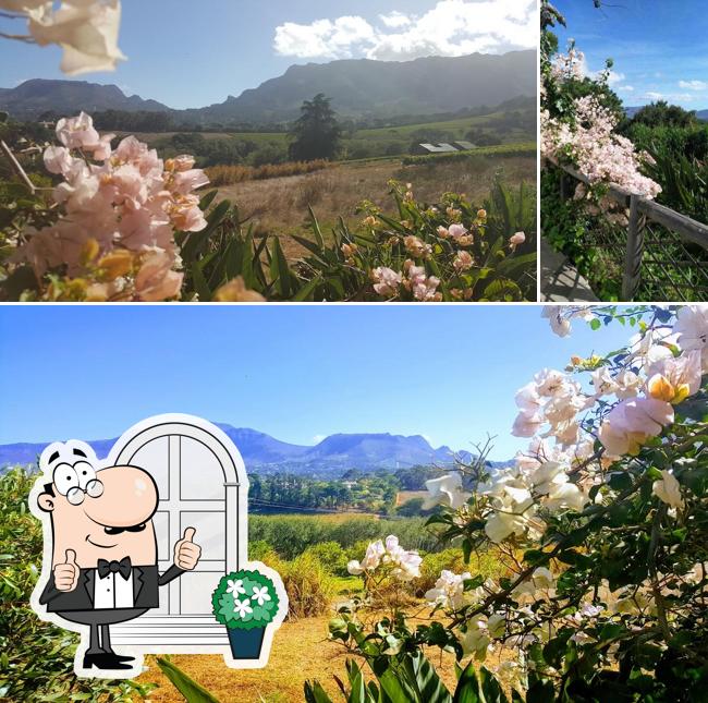 Chart Farm Roses and Coffee Shop cafe, Cape Town – menu, prices & reviews