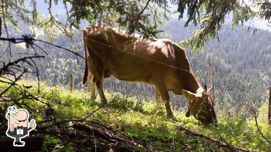 Ecco una foto di Viljem Ošep - Nosilec dopolnilne dejavnosti na kmetiji