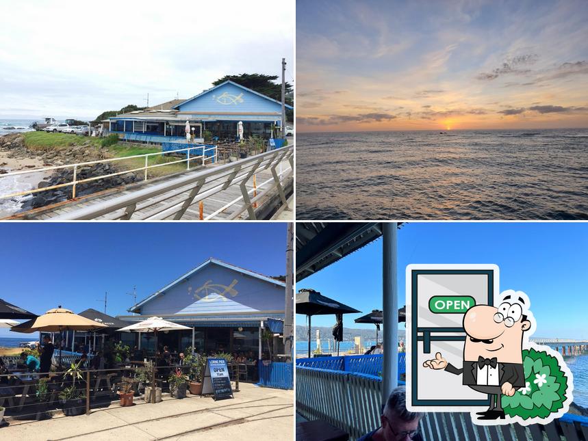 The Lorne Pier Seafood Restaurant in Lorne Restaurant menu and reviews