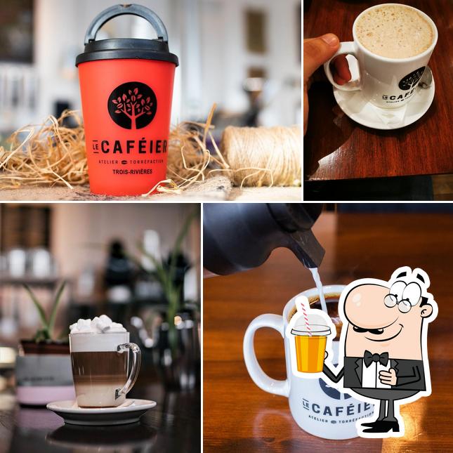 Le Caféier atelier torréfaction