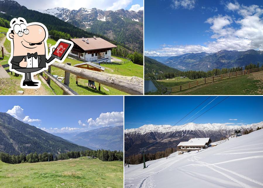 Guarda gli esterni di Berggasthof Tarscher Alm