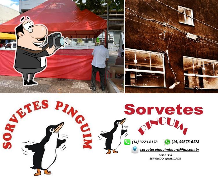 Look at the pic of Sorvetes Pinguim