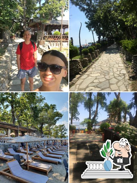 Coconut beach bar, Stavros Restaurant reviews