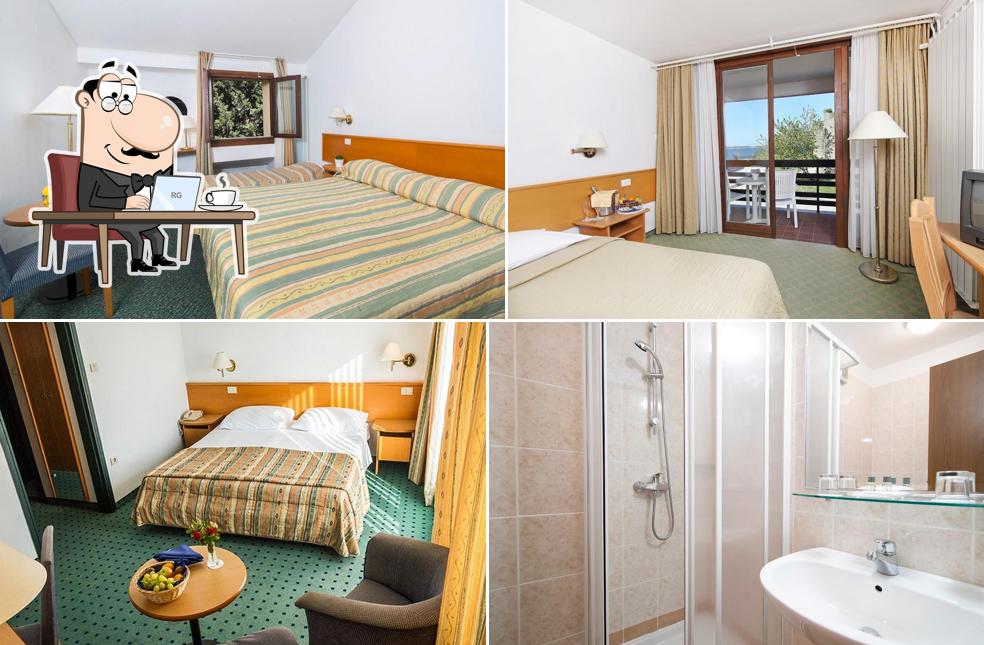 Hotel Vile Park Premium