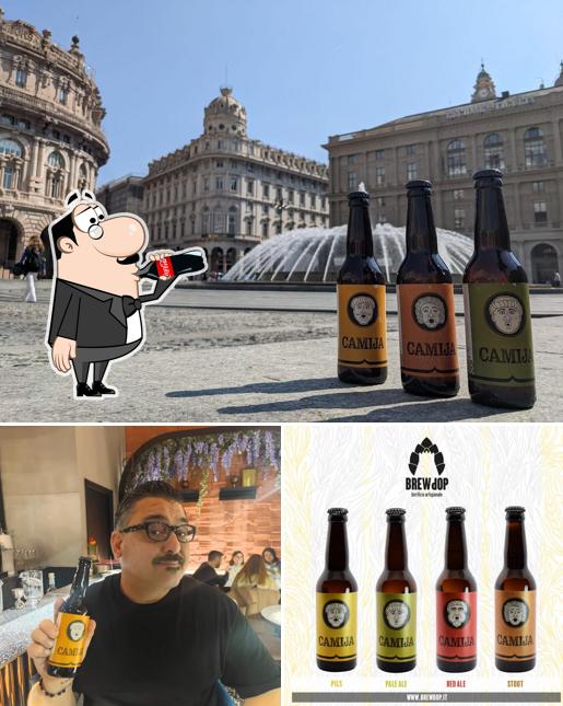 Brewdop - Birrificio Artigianale