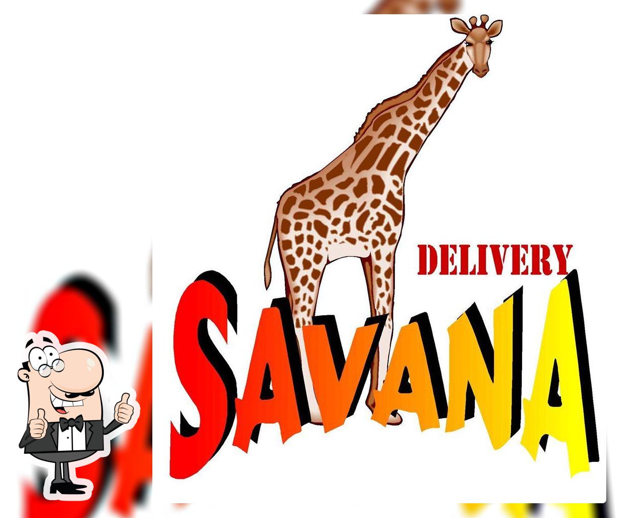 Savana Delivery