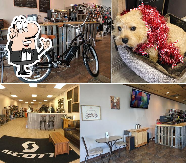 Flagler Bike N' Coffee Shop, 109 Flagler Plaza Dr in Palm Coast