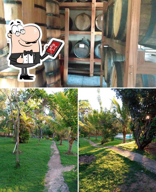 Cachaças Engenho do Coronel pub & bar, Taquaraçu de Minas Restaurant
