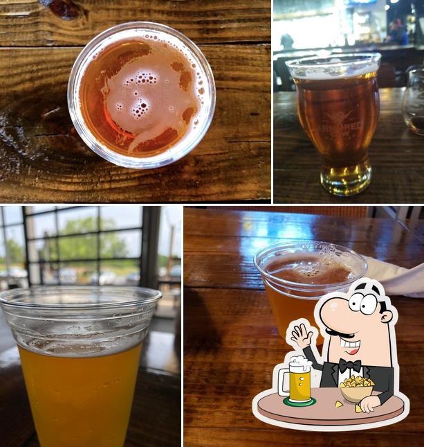 Armored Cow Brewing in Charlotte - Restaurant reviews