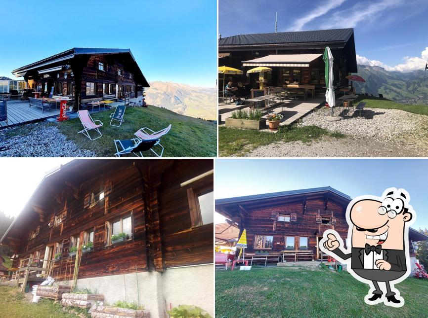Cabane des Monts-Chevreuils
