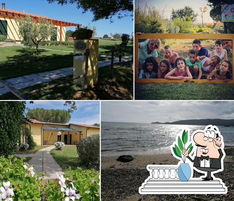 Agriturismo Poggio Sassineri Toscana