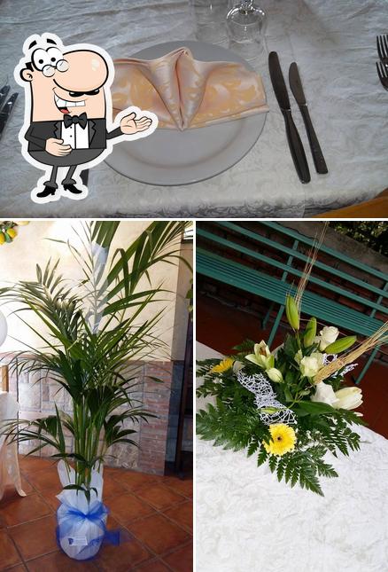 Guarda la immagine di Hotel Ristorante Pizzeria Flora