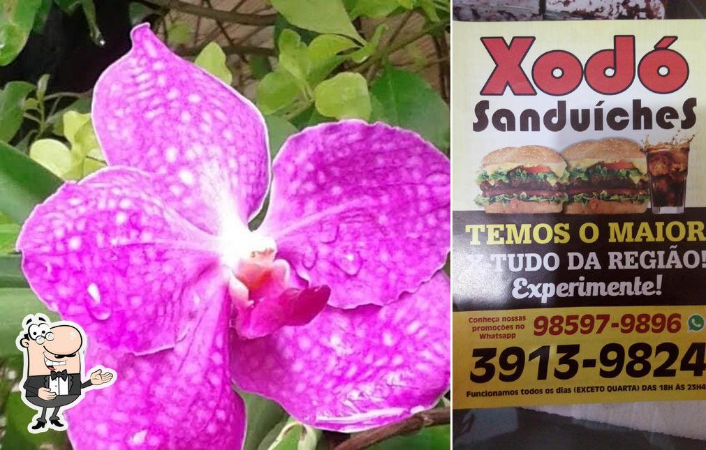 X-DO sanduíches