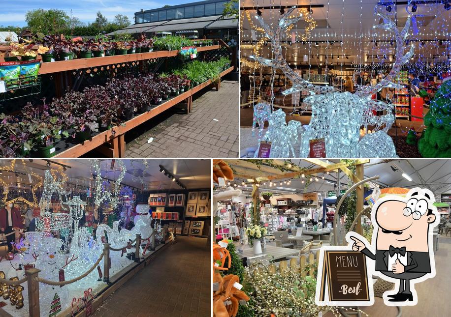 Longacres Garden Centre Bagshot in Bagshot Restaurant reviews