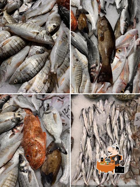 Fish Mashallah أسماك ماشاء الله