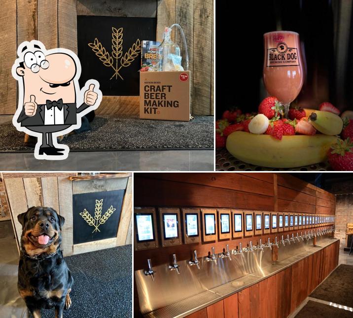 Old Towne Beer Hall & Growler Co in Franklin Restaurant reviews