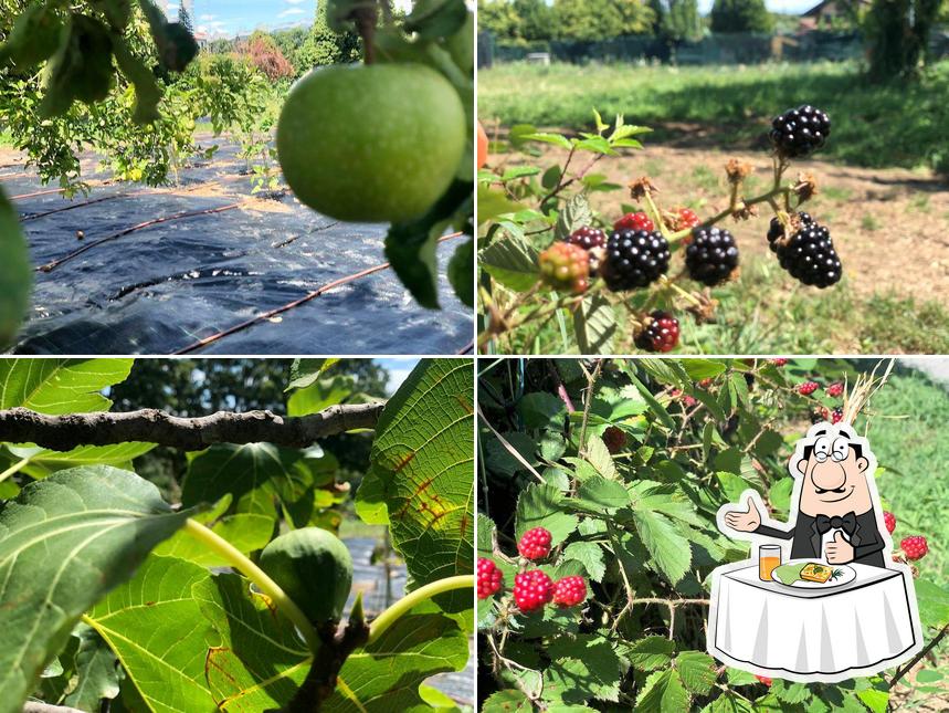 Cibo al Agriturismo Il Vecchio Fienile