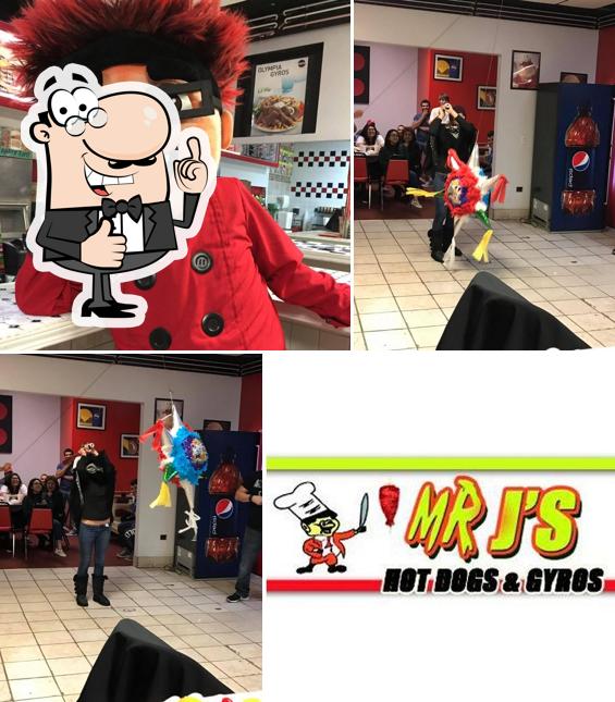 Mr. J's Hot Dogs & Gyros in Ottawa Restaurant menu and reviews